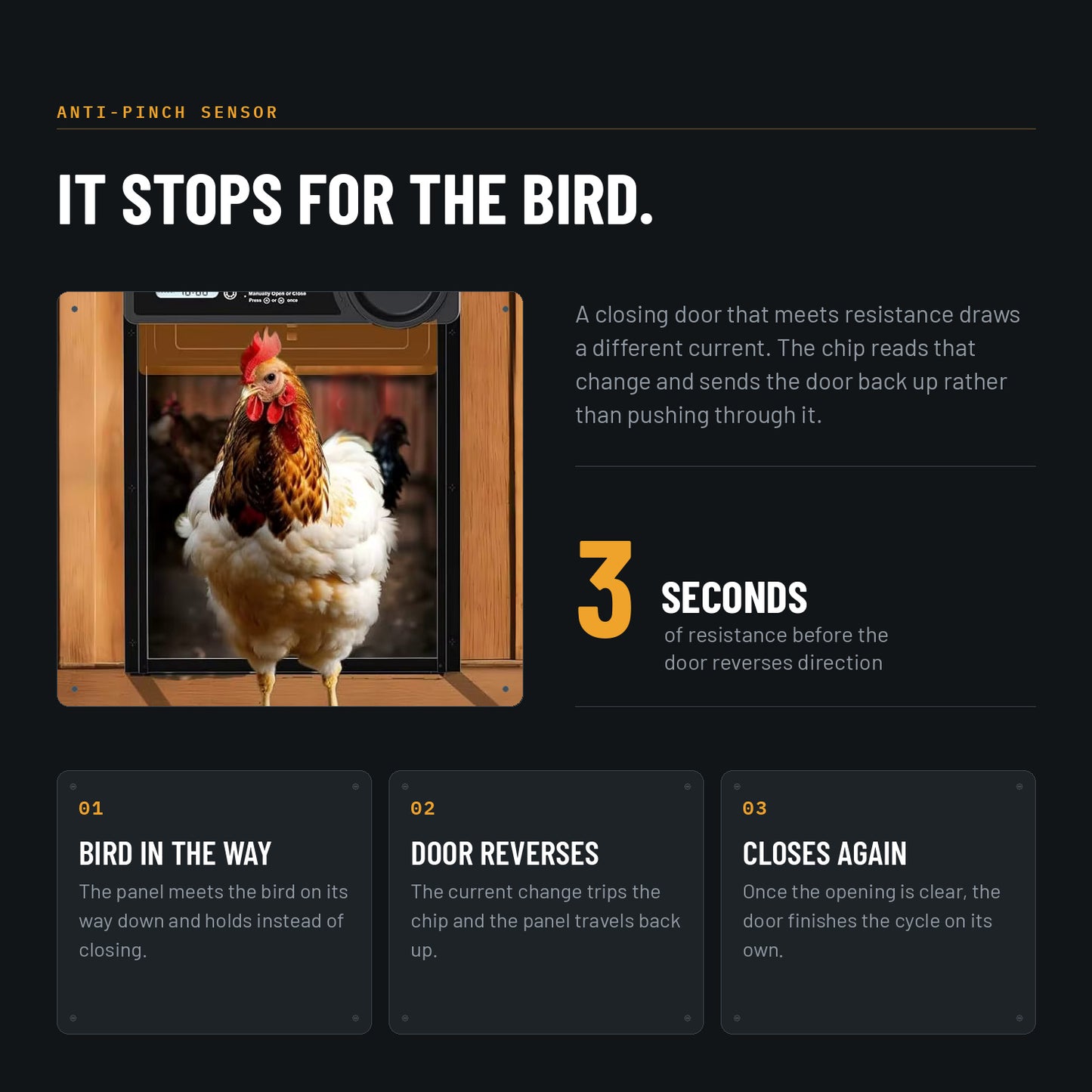 Automatic Chicken Coop Door with Timer | Predator-Proof Aluminum
